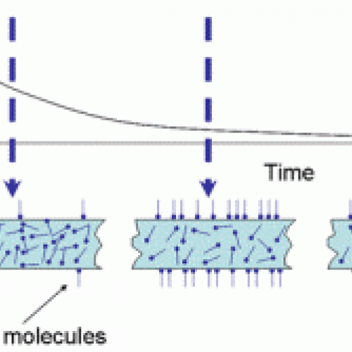 HOW DIFFERENT IS OLEAMIDE AND ERUCAMIDE SLIP ADDITIVE?